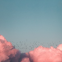 Quiet Sounds