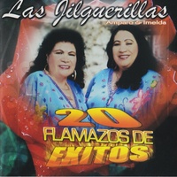 Los Caminos De Michoacan