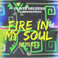 Fire In My Soul (feat. Shungudzo) (Tom Staar Remix)
