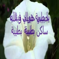 ‫صلى الله على محمد