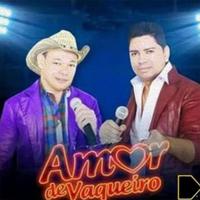 Tiro no Pé