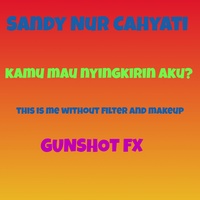 Gunshot FX (Effect Mix)