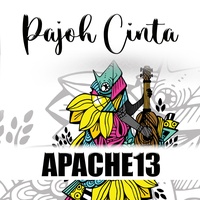 Pajoh Cinta