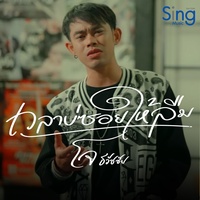 เวลาบ่ซ่อยให้ลืม - Tiktok