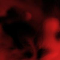 Mean (feat. Flo Milli)