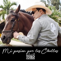 La Muerte De Un Caballo