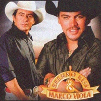 Não Vou Lhe Impedir