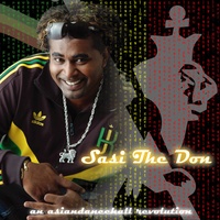 Hold Up (feat. Apache Indian)