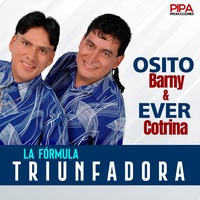 Tengo Que Olvidarte