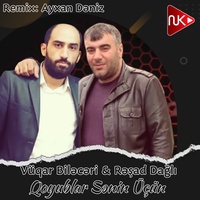 Qoyublar Sənin Üçün - Remix