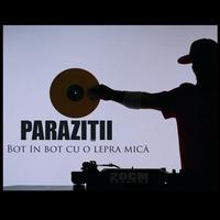 Bot In Bot Cu O Lepra Mica