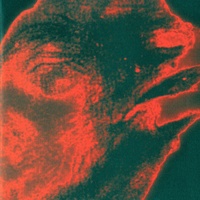 Hovno