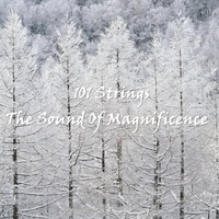 Serenade (Stars Never Cry) - Schubert