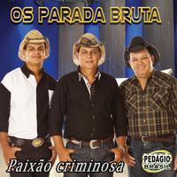 Pintão de Artista