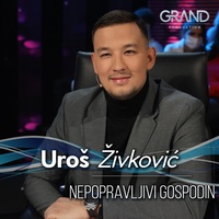 Nepopravljivi Gospodin