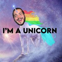 I'm a Unicorn