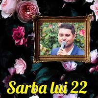 Cea Mai Tare Sarba, Sarba La Orga, Sarba Si Sarbe Sarbe La Orga