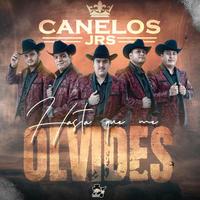 Hasta que me olvides