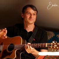 Lupul dacic pe drapel