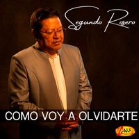 Como Voy A Olvidarte