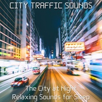 Night City Sounds