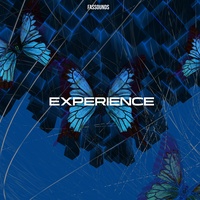 Experience