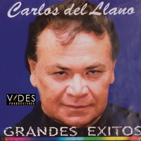 Esta Muy Bien