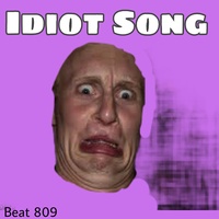 Idiot Song