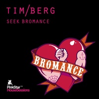 Seek Bromance (Avicii Vocal Edit)