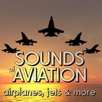 Plane Crash and Emergency Response