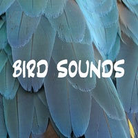 Natural Bird Sounds