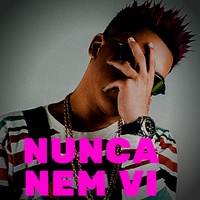 Nunca Nem Vi