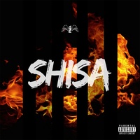 Shisa