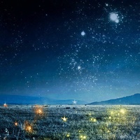 羽肿 - Sleepless Starlight