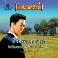 รักน้องขอมองหน่อย