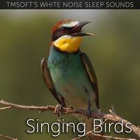 Singing Birds Sound