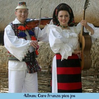 Care Frunza Pica Jos