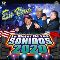 Te Falle (Sonido Samurai ) - En Vivo