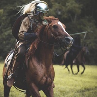 The Sword in the Stone