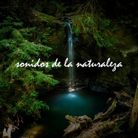 Sonidos de Pájaros en la Montaña