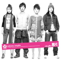 sakura(cherry blossom)