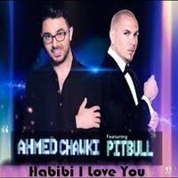 Habibi I Love You (Radio Edit)