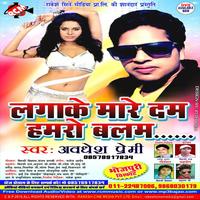 Lagake Mare Dam Hamaro Balam