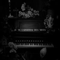 Je te laisserai des mots