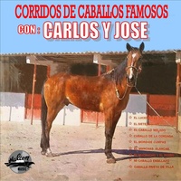 El Caballo Ensillado