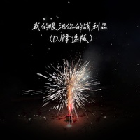 我的眼泪你的战利品 - DJ降速版