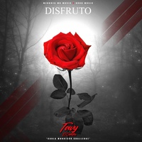Disfruto