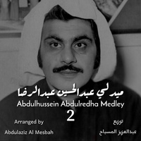 ميدلي عبدالحسين عبدالرضا ٢
