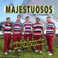 La Maldición del Chajá