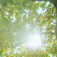 Where'd All the Time Go